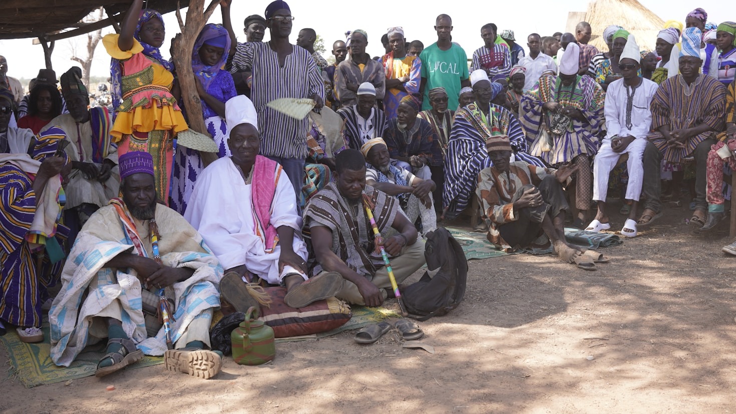 Vector-Borne Disease Control: Safeguarding Um Benin Communities